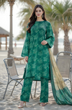 3-PC Bareeza (vol-2522)
